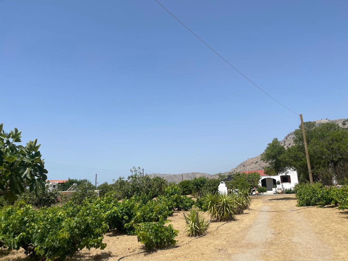 Aegean Endless Summer Villa Pefkos Pefki  Exterior photo